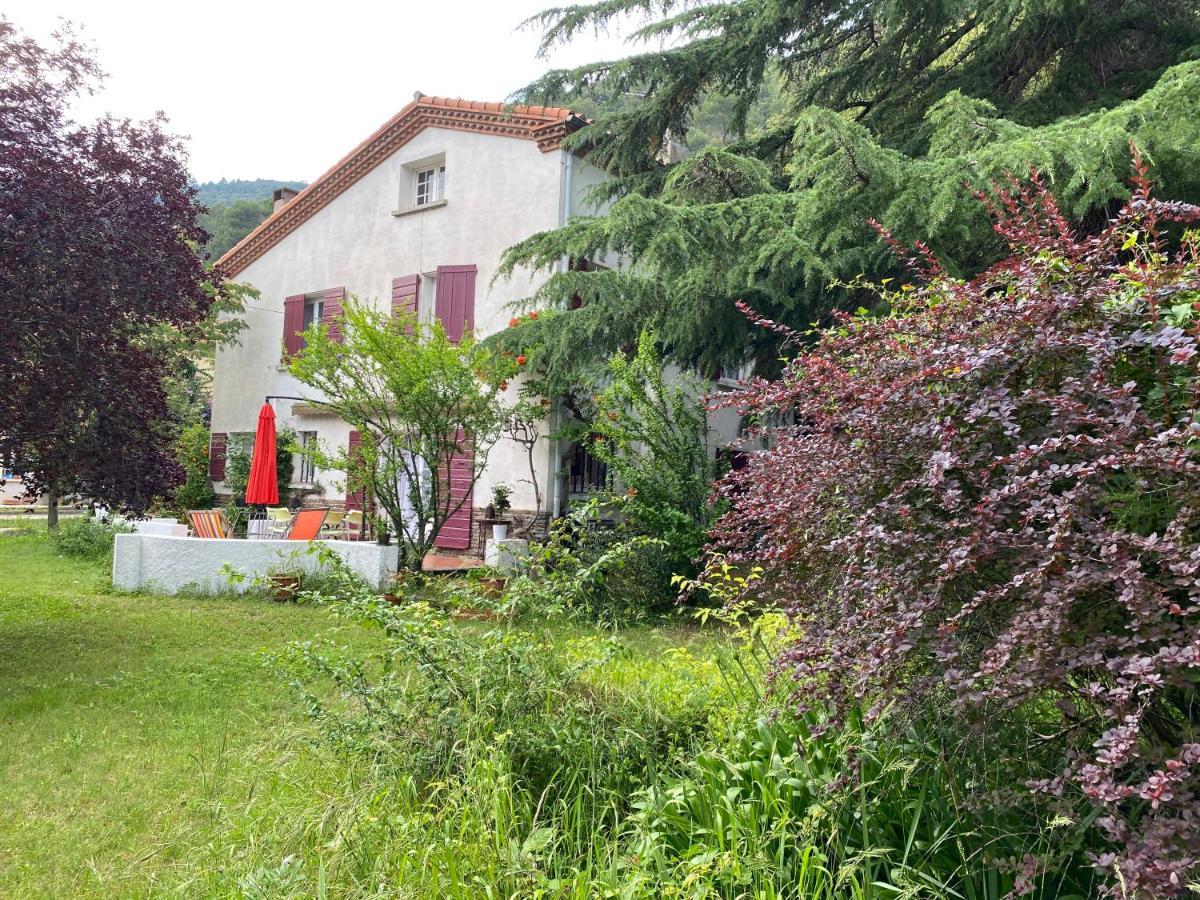 Villa Riviera Chambres Privees Amelie-les-Bains-Palalda Exterior photo